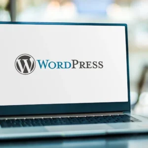WordPress Website